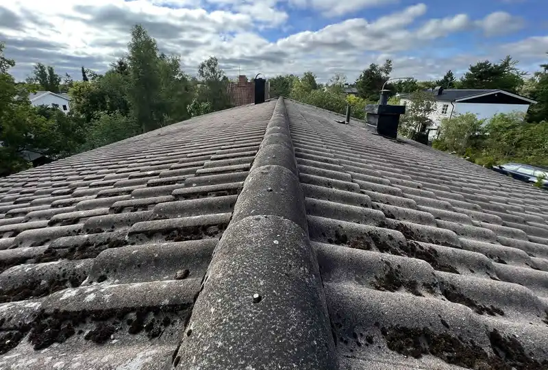 Älvsjö Tak